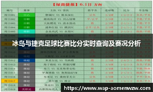 冰岛与捷克足球比赛比分实时查询及赛况分析
